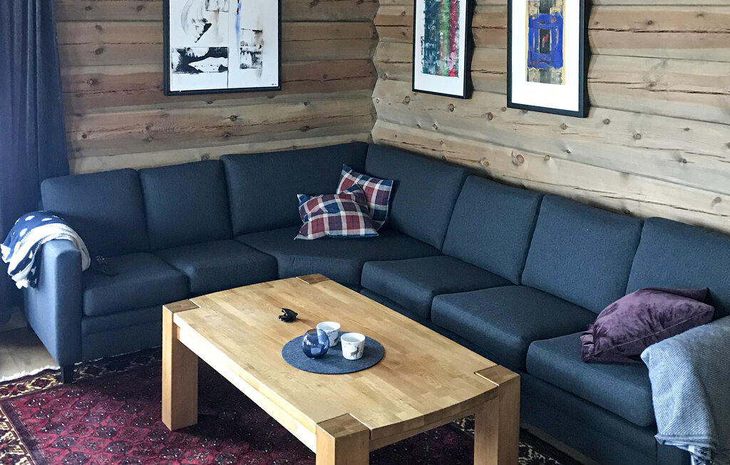 Ferienhaus - Hovden , Norwegen - N35638 19