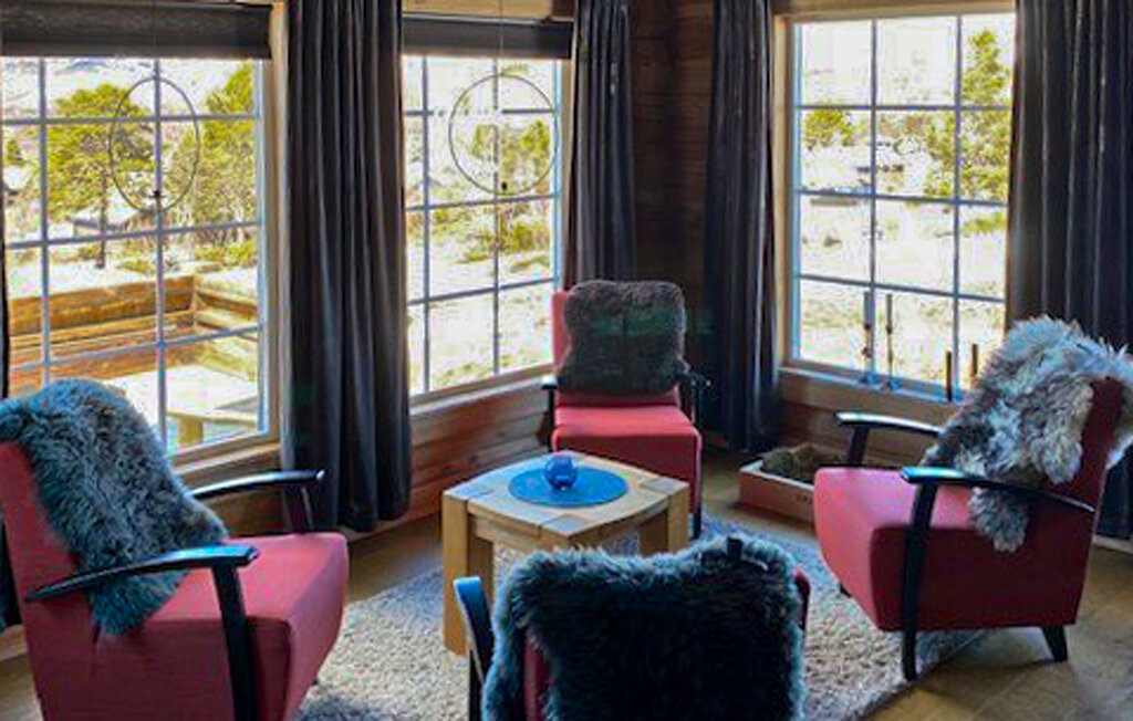 Ferienhaus - Hovden , Norwegen - N35638 2