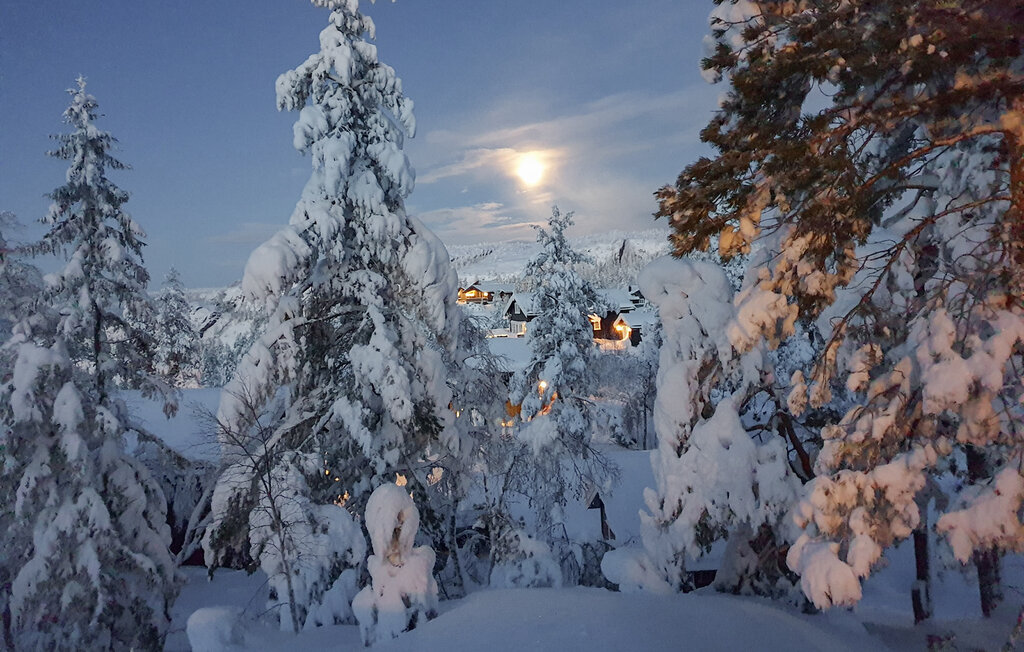 Ferienhaeuser - Gautefall , Norwegen - N35753 14