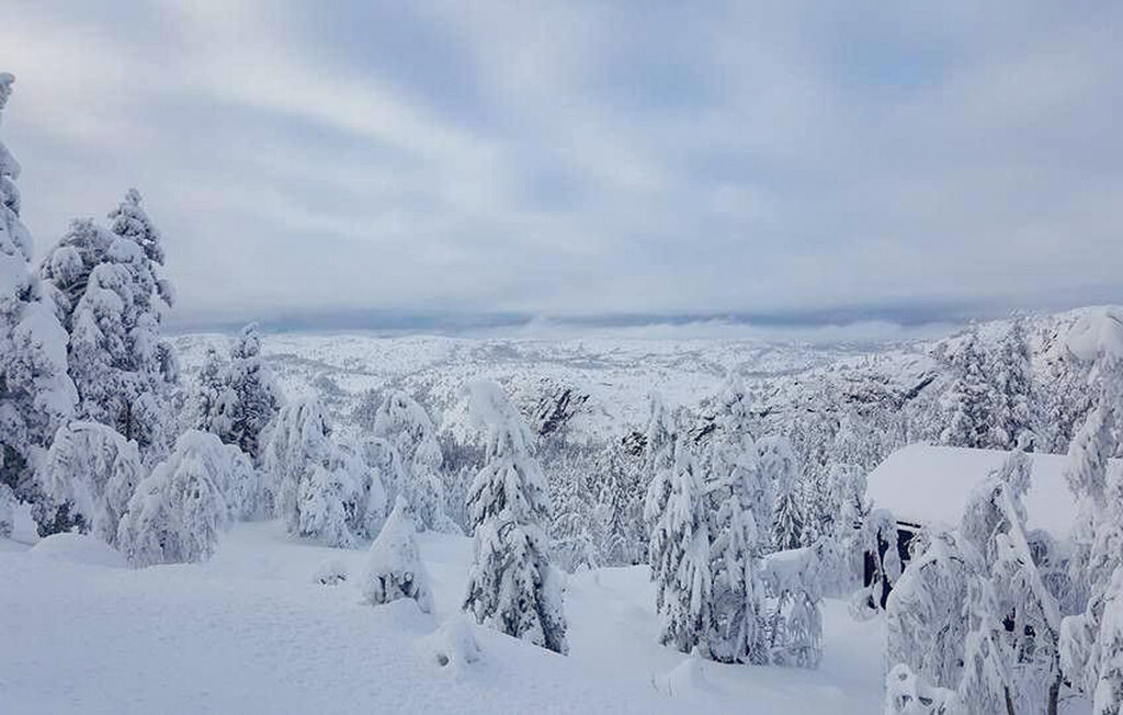 Ferienhaeuser - Gautefall , Norwegen - N35753 16