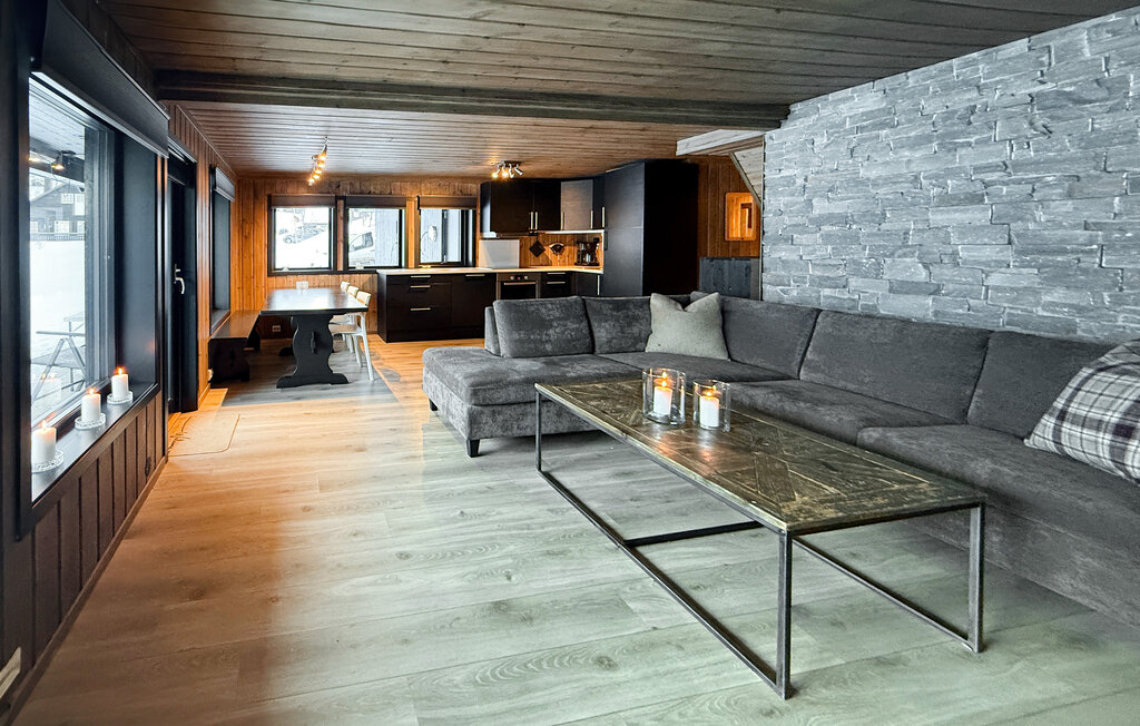 Ferienhaus - Hovden , Norwegen - N35105 3