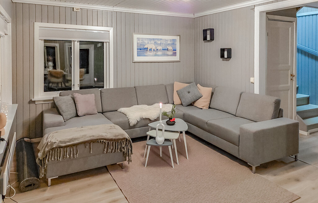 Ferienhaus - Fyresdal , Norwegen - N35796 3