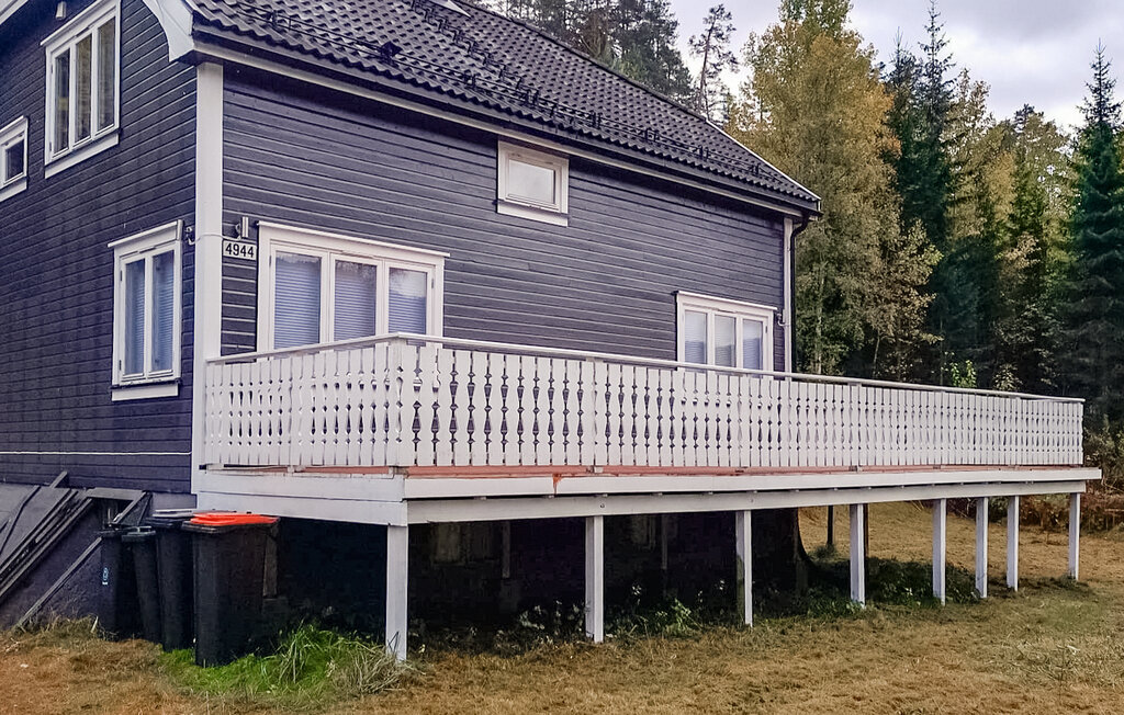 Ferienhaus - Fyresdal , Norwegen - N35796 10