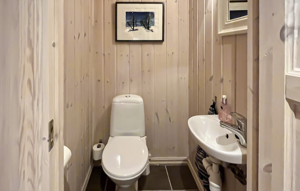 Ferienhaus - Rauland , Norwegen - N35804 23