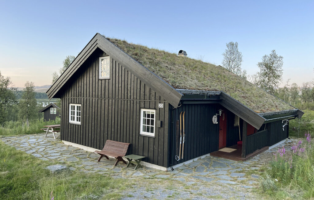 Ferienhaus - Rauland , Norwegen - N35804 9
