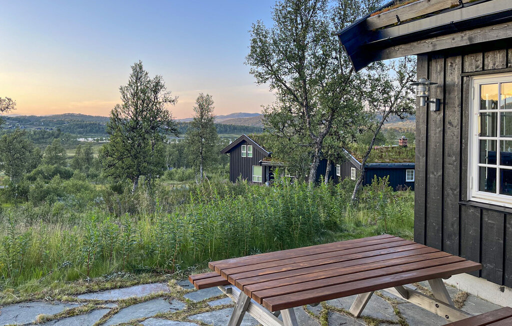 Ferienhaus - Rauland , Norwegen - N35804 2