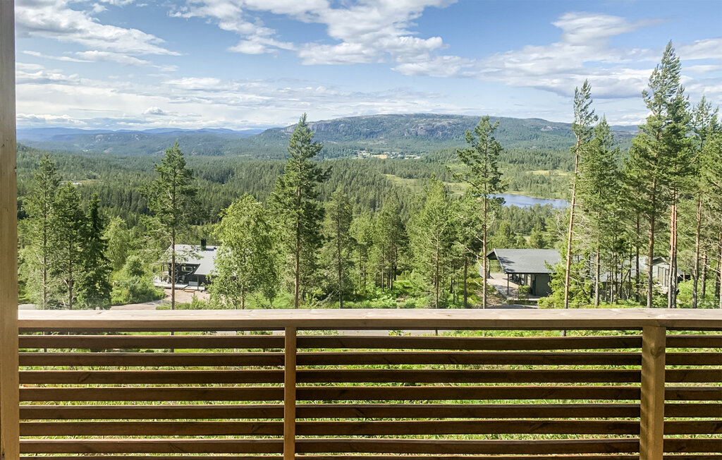 Feriehus - Felle/Nissedal , Norge - N35803 9