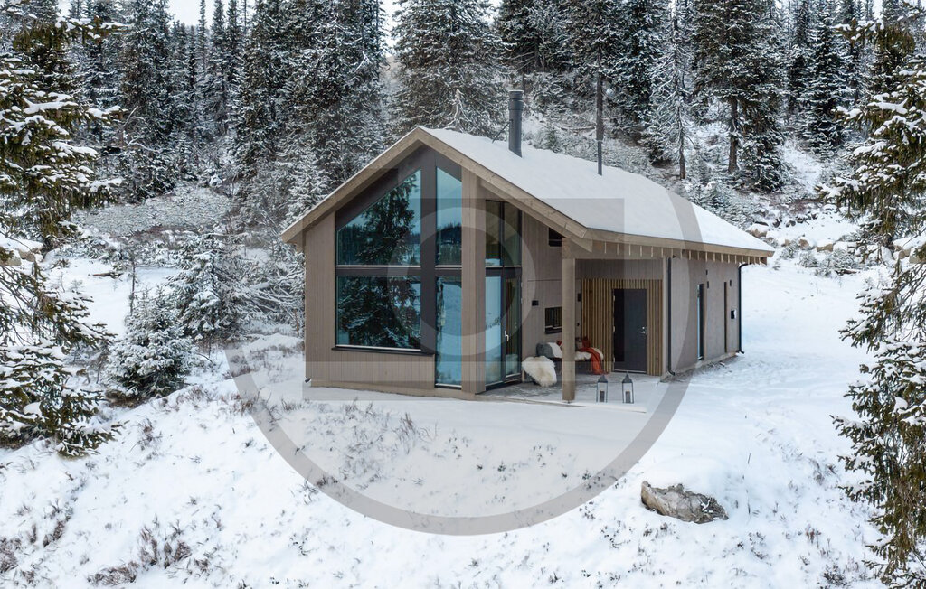 Feriehuse - Lifjell , Norge - N35497 8