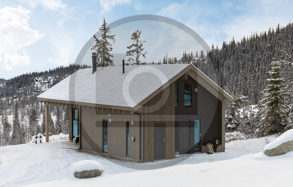 Feriehuse - Lifjell , Norge - N35497 9