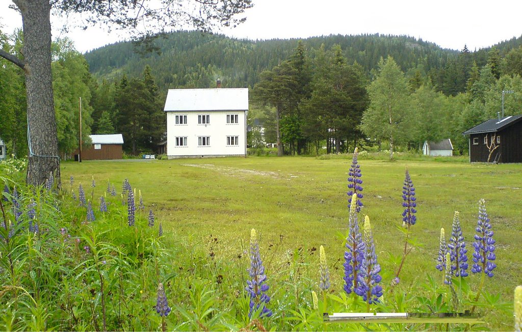 Bild 4 Bild 4
