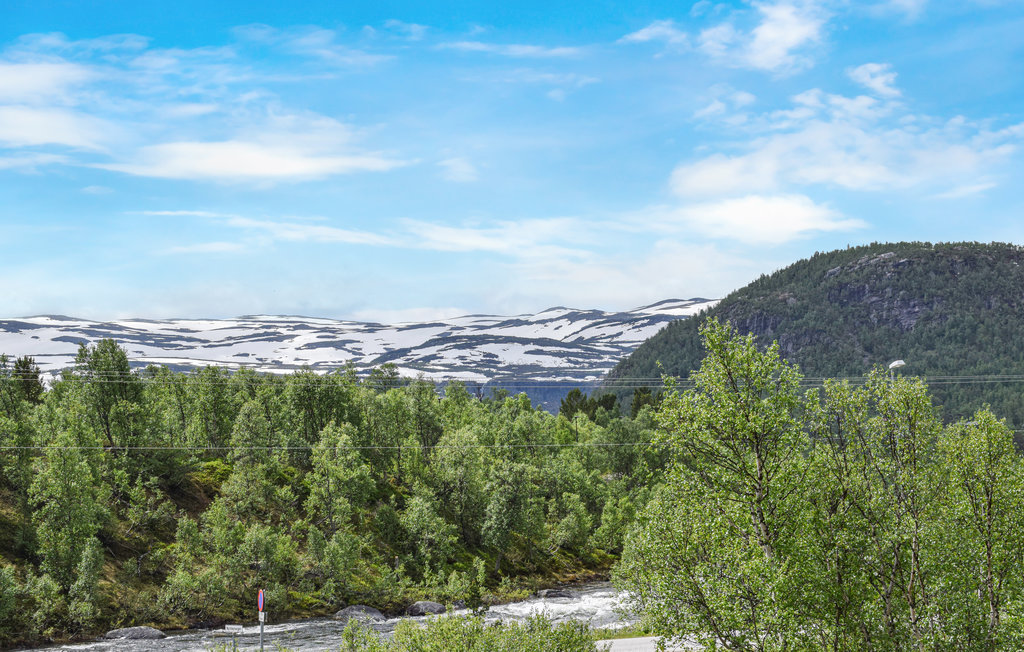 Welkom bij een vakantie in dit mooie vakantiehuis in Hovden.

Het appartement is goed uitgerust en heeft een gezellige woonkamer waar u kunt samenkomen om de activiteiten voor de komende dag te bespre..