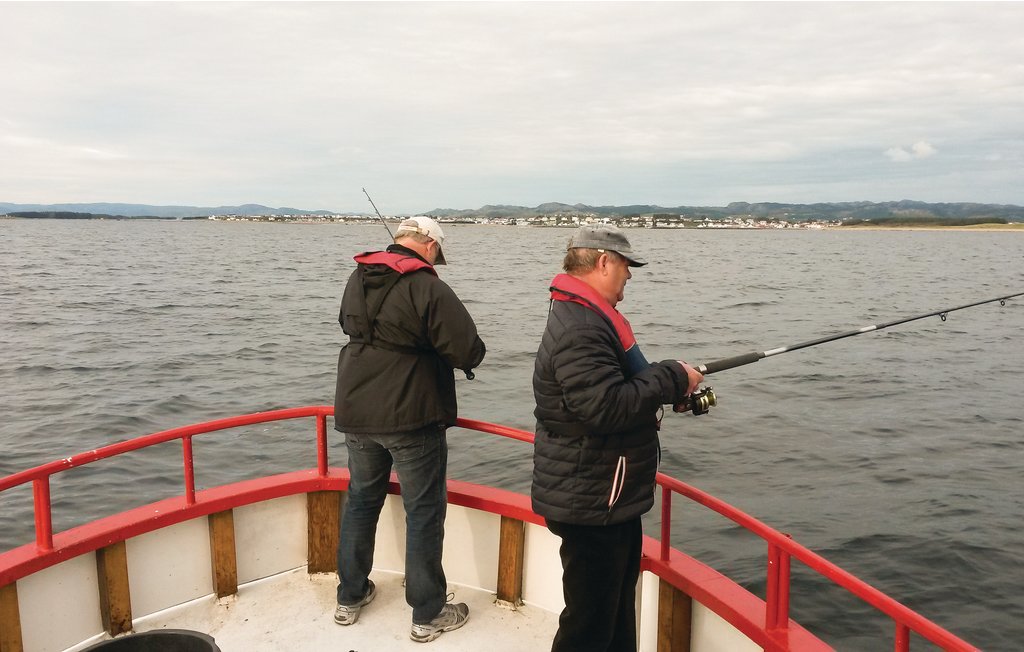 Ferienhaus - Borhaug , Norwegen - N36955 17