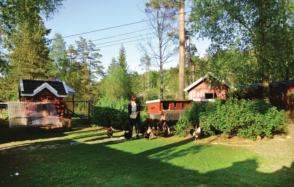 Feriehuse - Tvedestrand , Norge - N36314 8