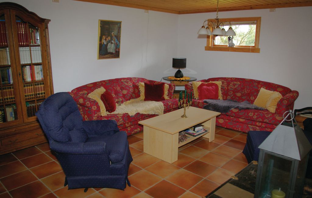 Ferienhaus - Borhaug , Norwegen - N36955 8