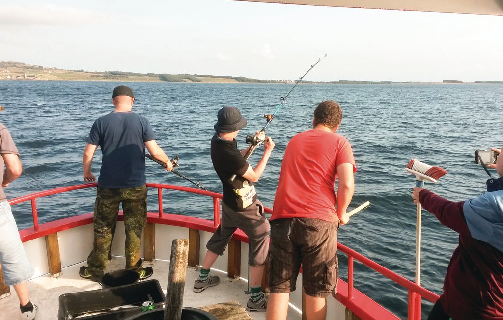 Ferienhaus - Borhaug , Norwegen - N36955 16