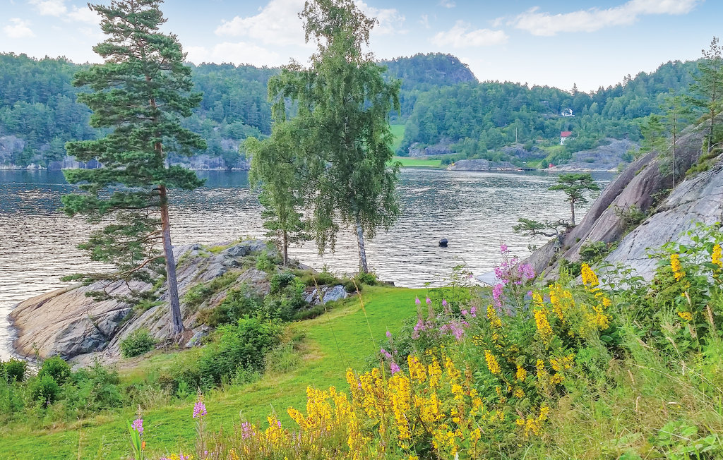 Feriehus - Risør , Norge - N36551 25