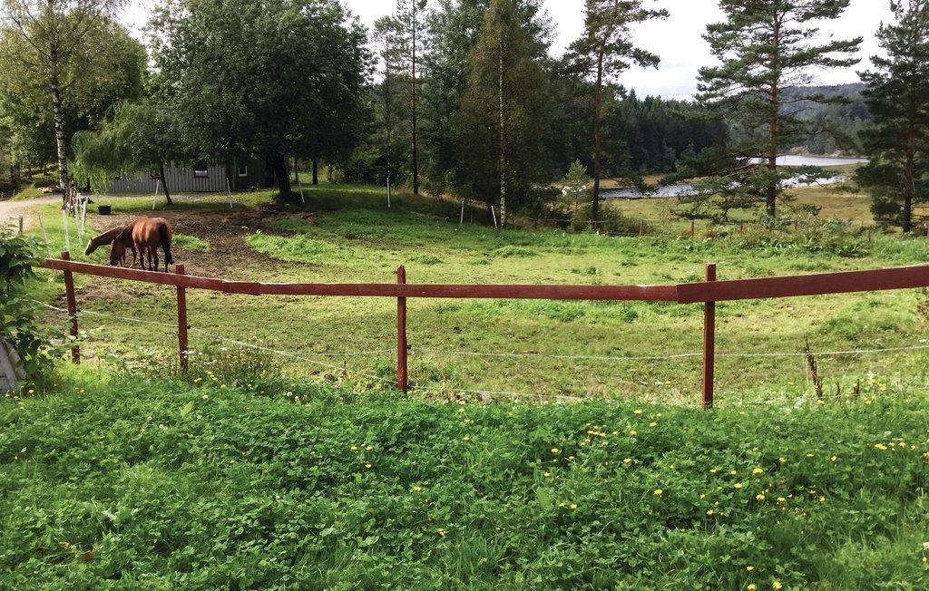 Feriehuse - Tvedestrand , Norge - N36314 23