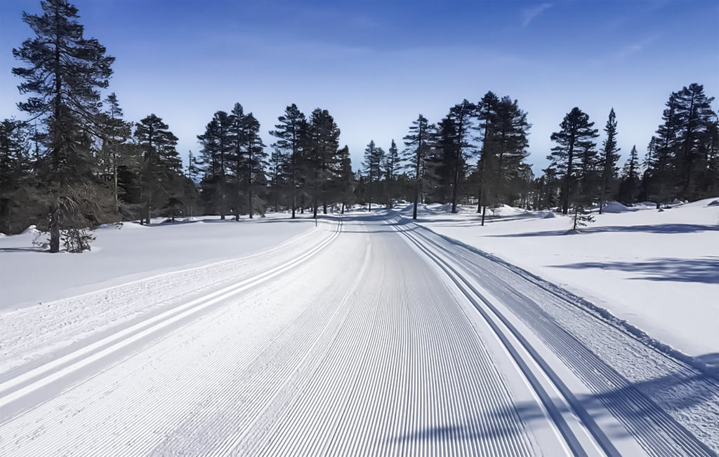 Feriehuse - Vikerfjell , Norge - N37353 18