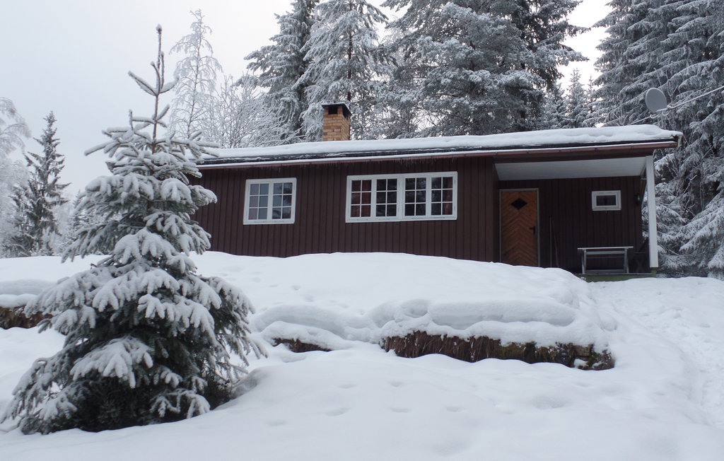 Feriehus - Hurdal , Norge - N37276 7