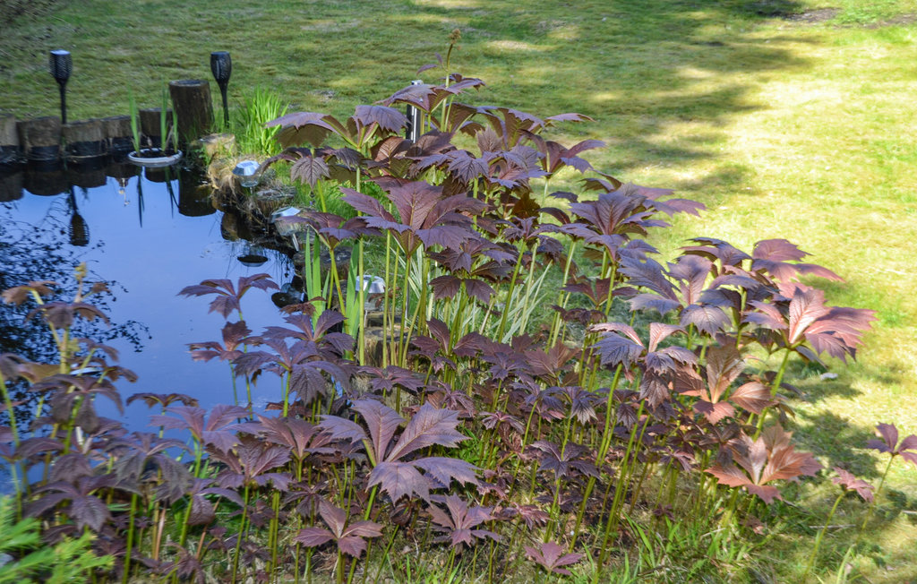 Semesterhus - Halden , Norge - N37327 8