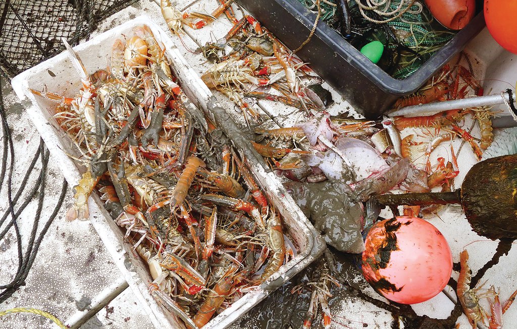 Feriehus - Sætre , Norge - N37068 15