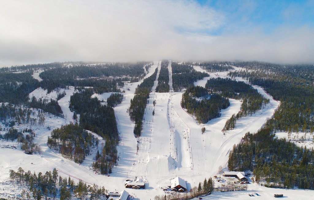 Ferienhaus - Svarstad , Norwegen - N37297 34