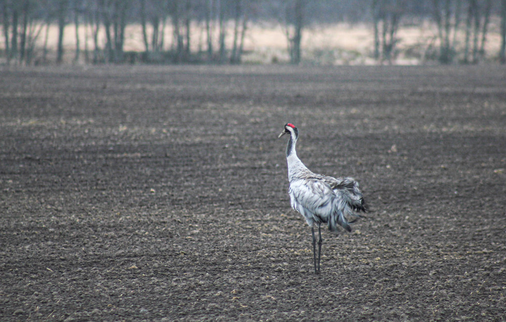Semesterhus - Halden , Norge - N37327 24
