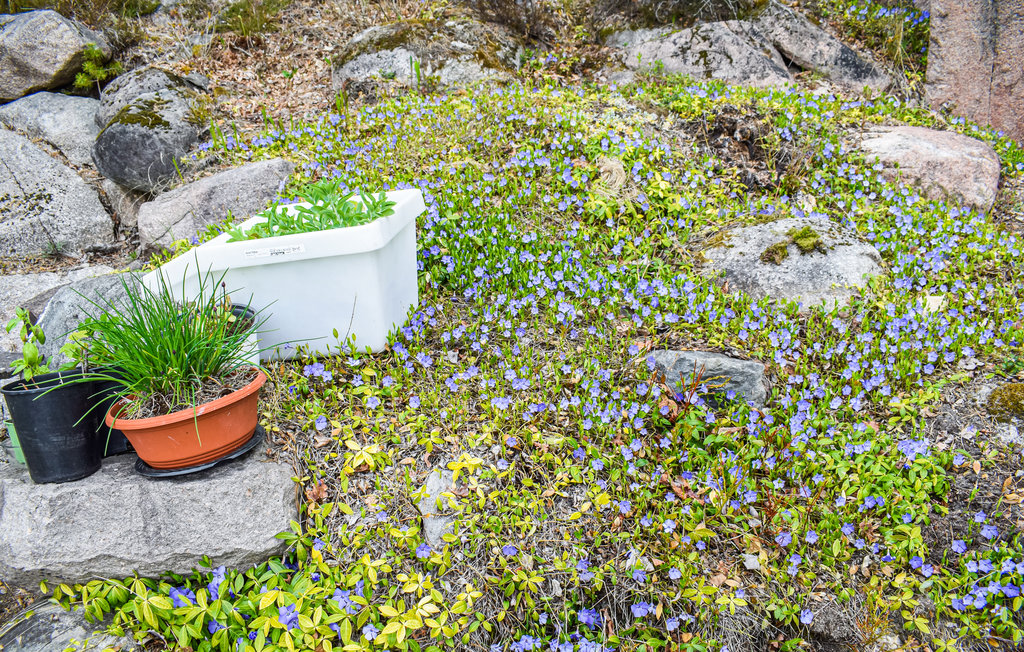 Feriehuse - Hyggen , Norge - N37369 13