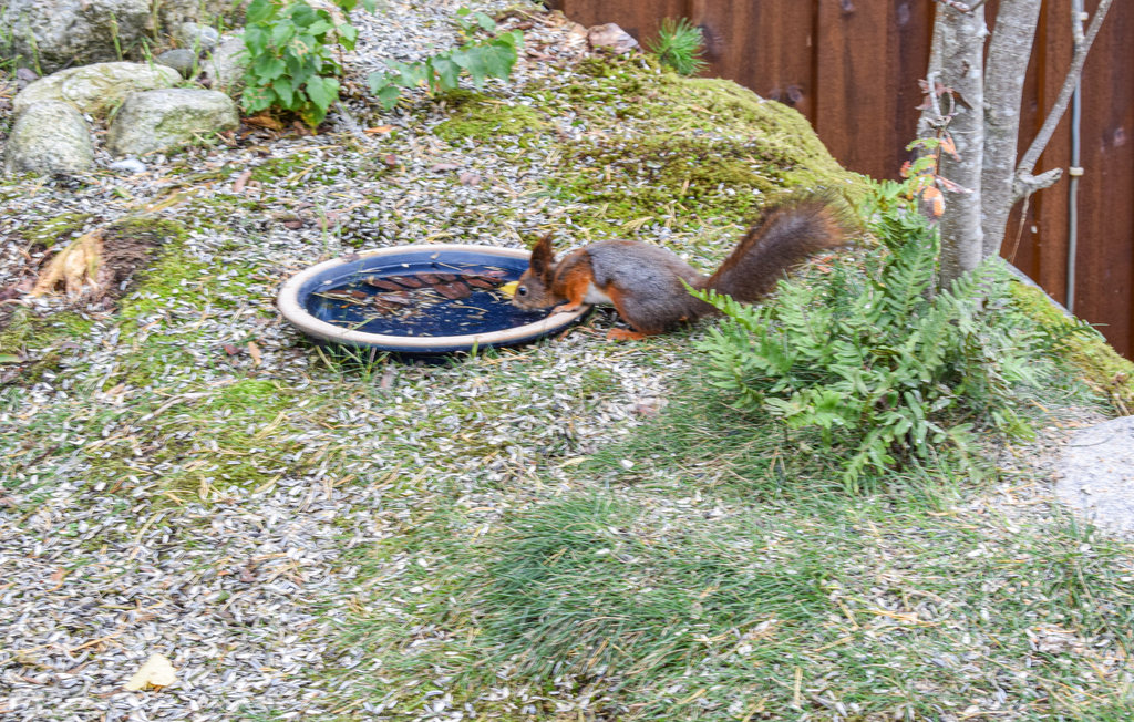 Lejlighed - Skjeberg , Norge - N37294 12