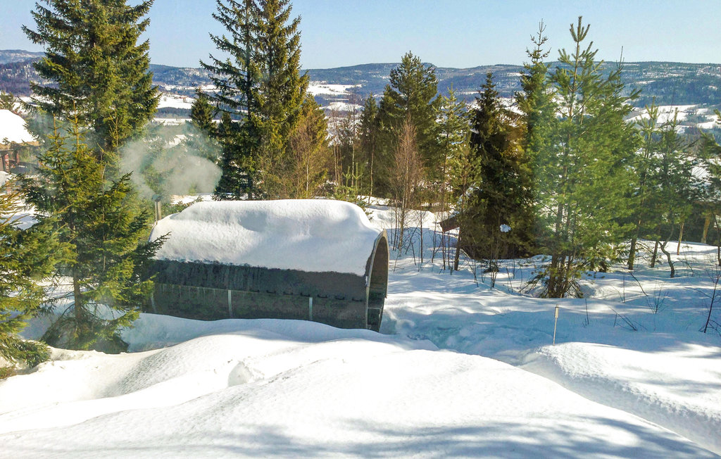 Ferienhaus - Svarstad , Norwegen - N37297 16