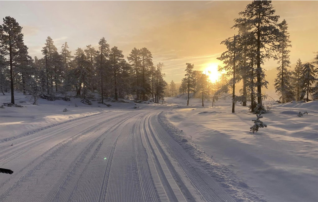 Feriehuse - Vikerfjell , Norge - N37353 5