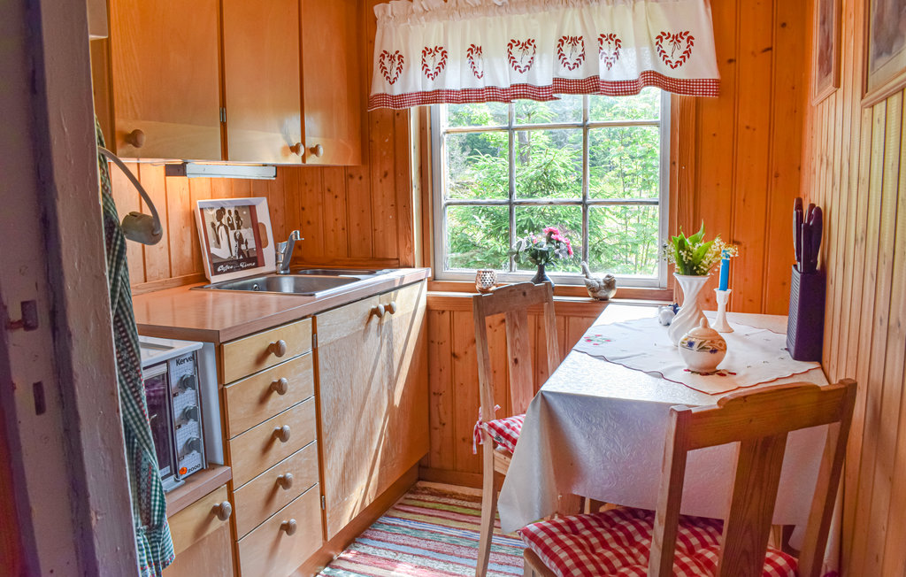 Feriehus - Larvik , Norge - N37001 3