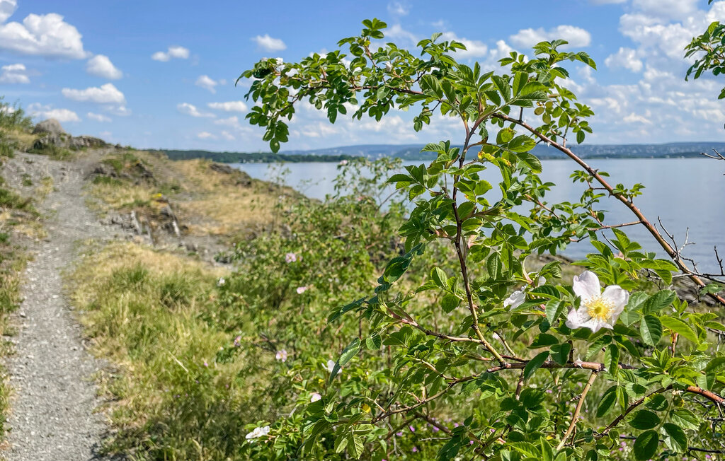 Lejlighed - Snarøya/Oslo , Norge - N37439 14