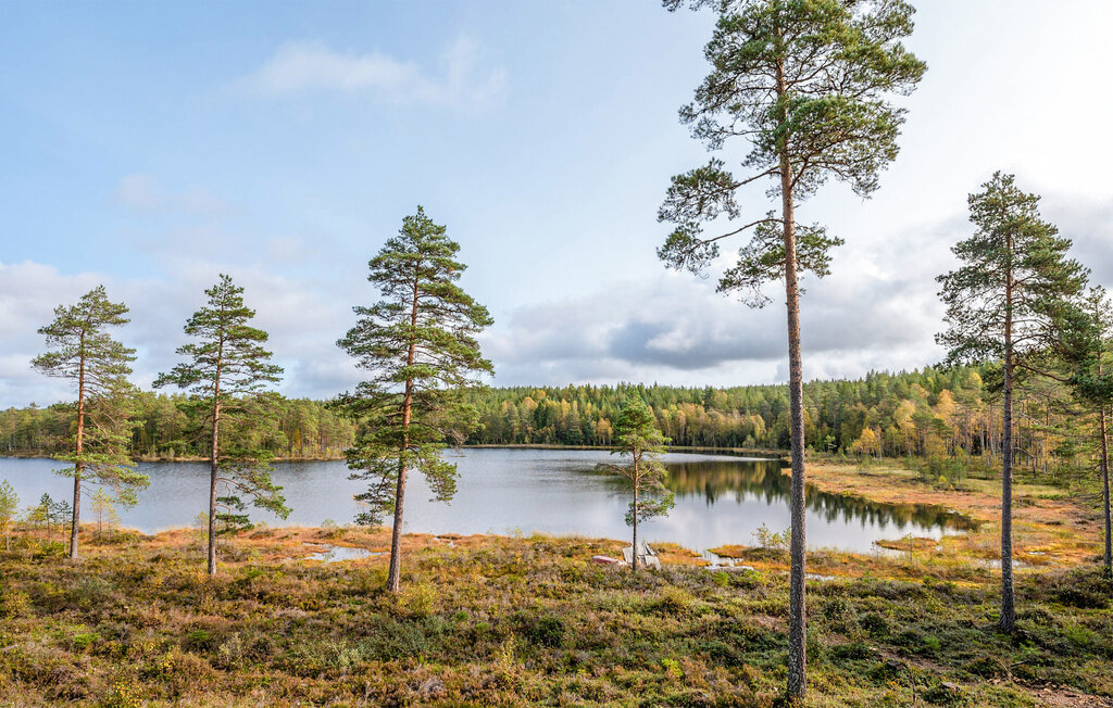 Ferienhaus - Setskog , Norwegen - N37704 8