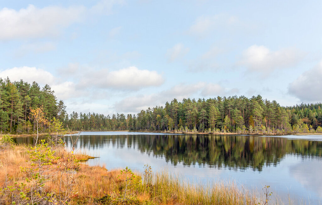 Ferienhaus - Setskog , Norwegen - N37704 12