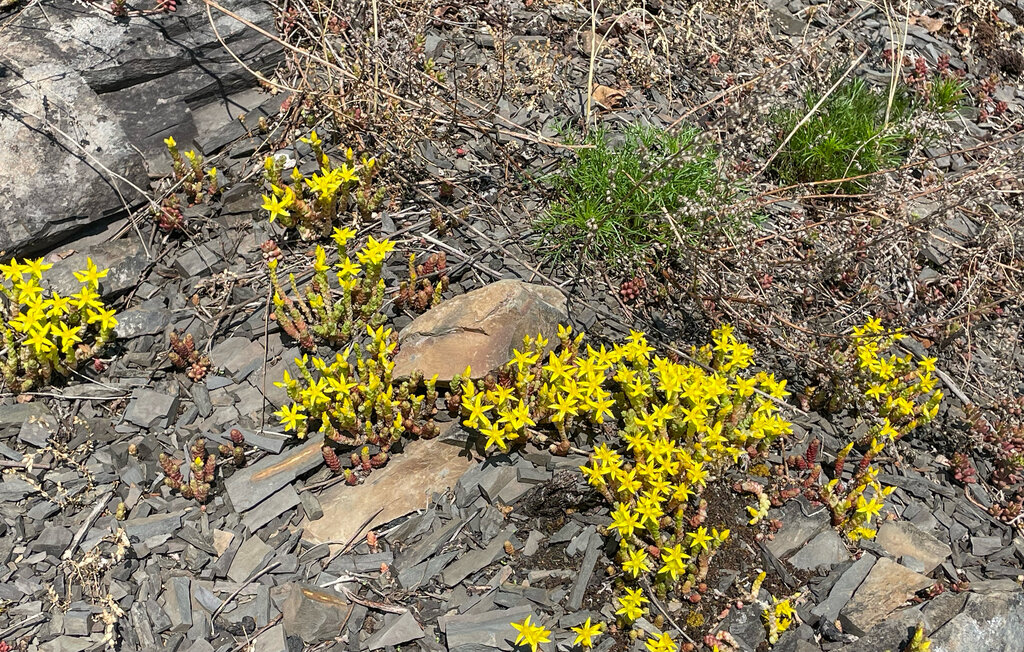 Lejlighed - Snarøya/Oslo , Norge - N37439 9
