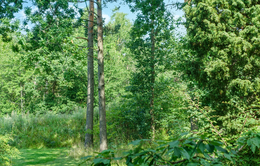 Feriehuse - Sandefjord , Norge - N37386 14