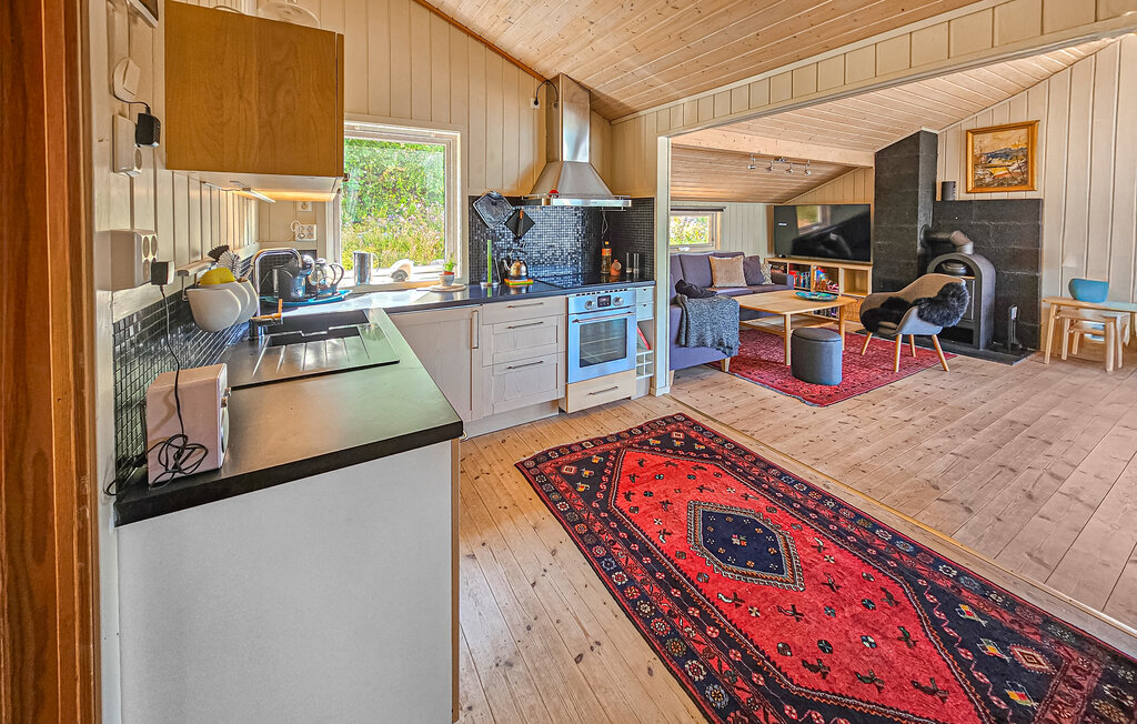 Feriehus - Verket/Hurum , Norge - N37725 18