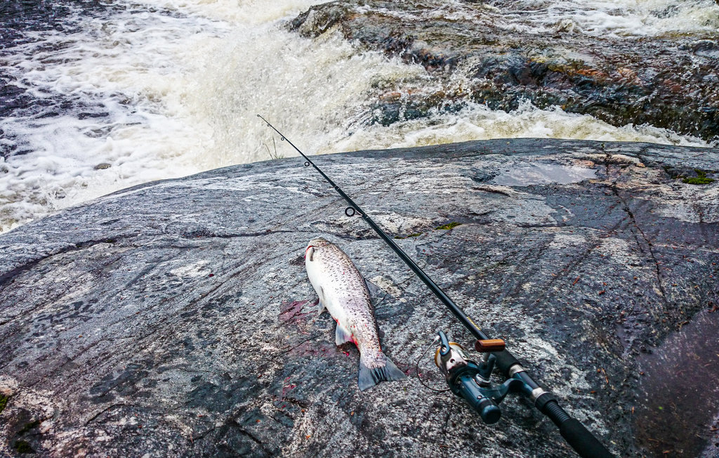 Feriehus - Nord-Statland , Norge - N38970 21