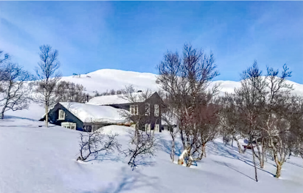 Ferienhaus - Oppdal/Skarvatnet , Norwegen - N38156 10