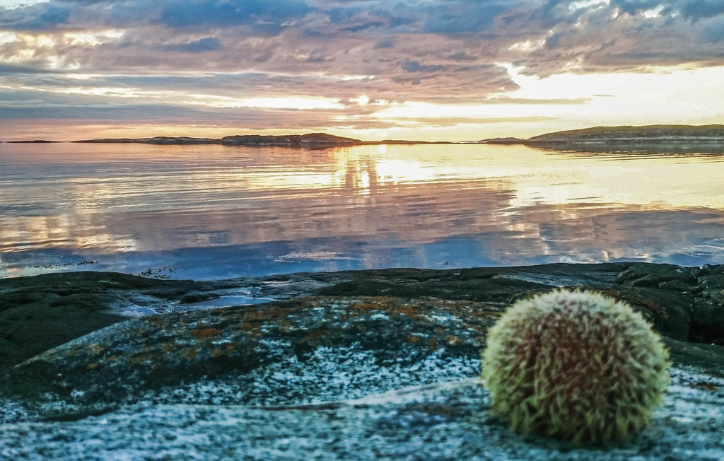 Semesterhus - Vallersund , Norge - N38060 19