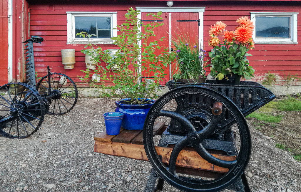 Feriehus - Nord-Statland , Norge - N38970 9