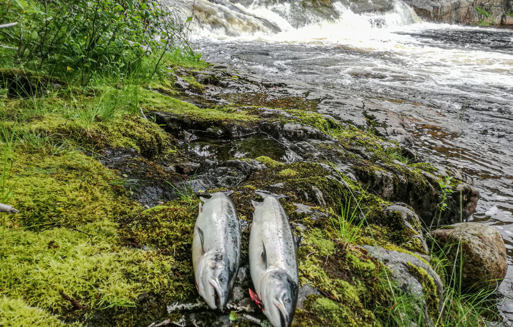 Feriehus - Nord-Statland , Norge - N38970 23