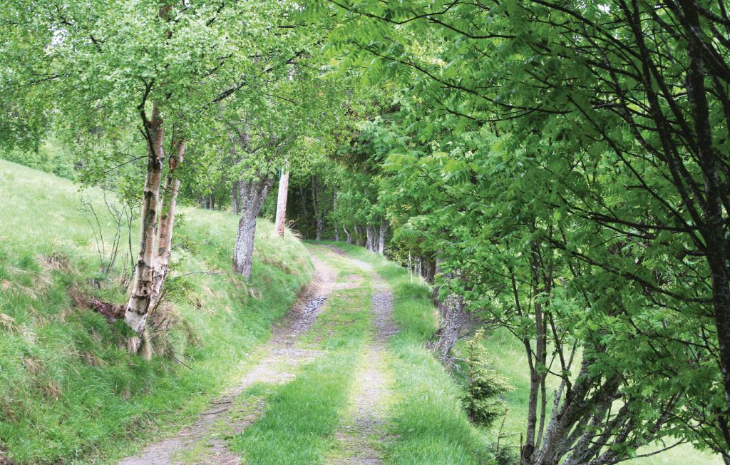 Feriehus - Vanvikan/Fosen , Norge - N38523 25