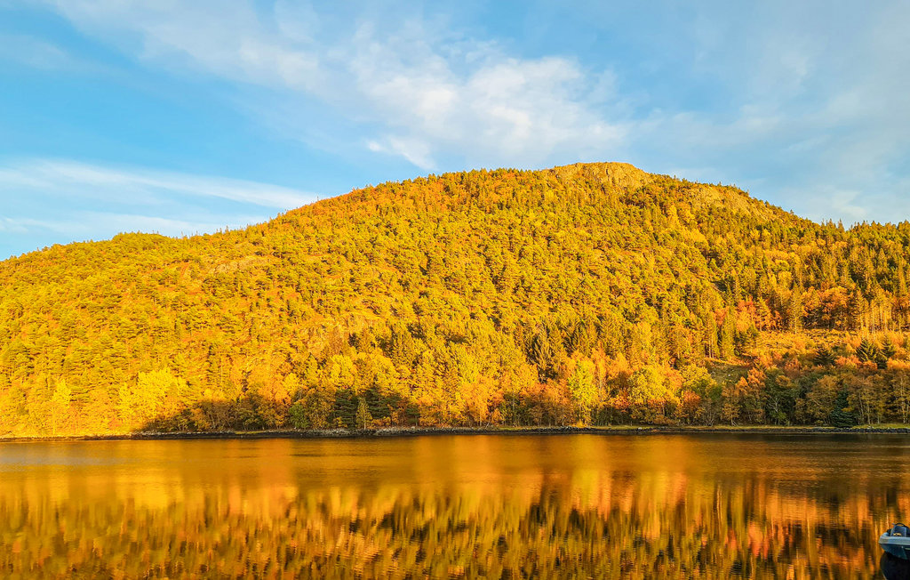 Semesterhus - Fosen/Lysøysundet , Norge - N38068 13