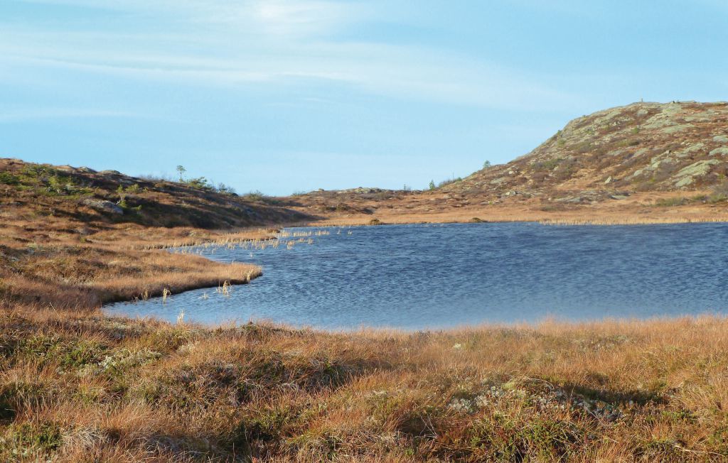 Feriehus - Vanvikan/Fosen , Norge - N38523 23