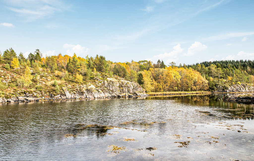 Feriehus - Hitra , Norge - N38139 8