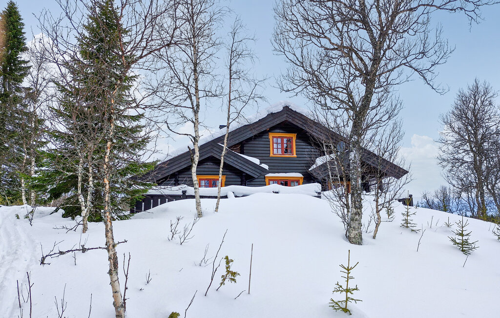 Semesterhus - Tydal , Norge - N38216 8