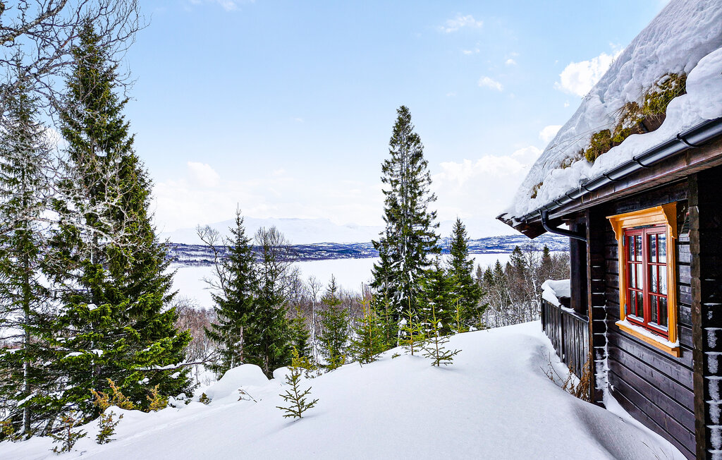 Semesterhus - Tydal , Norge - N38216 2