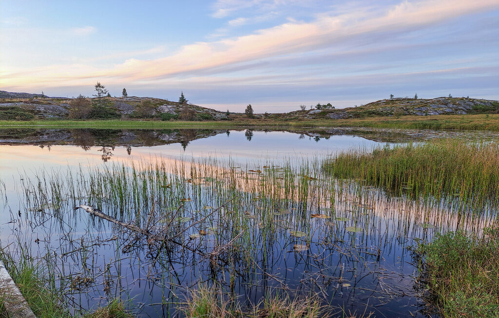 Feriehus - Rørvik , Norge - N38204 7